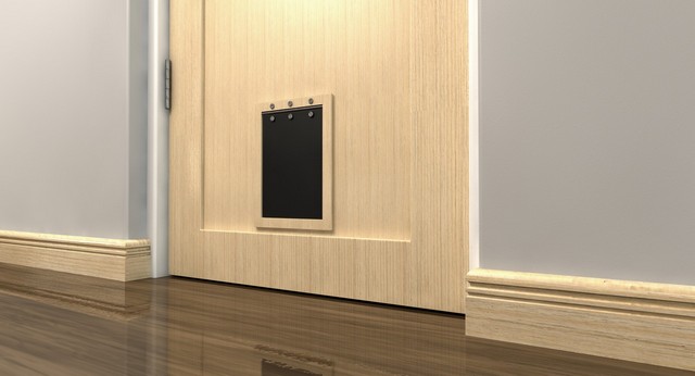 Cat Flap Installation Molesey, East Molesey, West Molesey, KT8